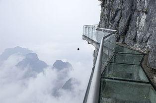 像是天堂的悬崖 花絮,揭秘“像是天堂的悬崖”花絮背后的故事